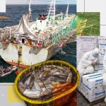 Seafood sold in UK supermarkets may have a dark side – here’s why | World News