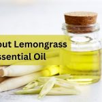 All about lemongrass essential oil