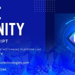 Professional Axie Infinity Clone Script Development
