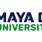 MBA in Digital Marketing Course for Working Professionals
